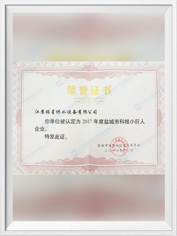2017 Yancheng City Science and Technology Little Giant Enterprise Certificate of Honor